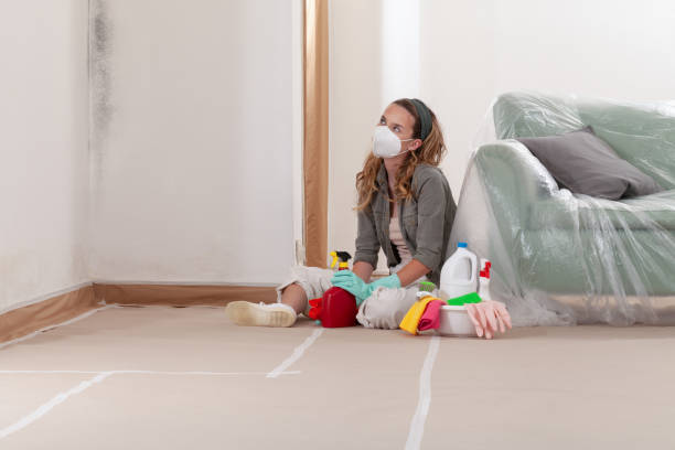 Reliable Mold Testing contractor in Kenilworth, IL by WQB Mold Removal